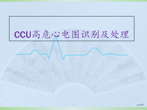 CCU高危心电图识别及处理  ppt课件