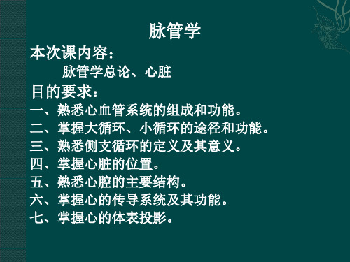 中医学  脉管学