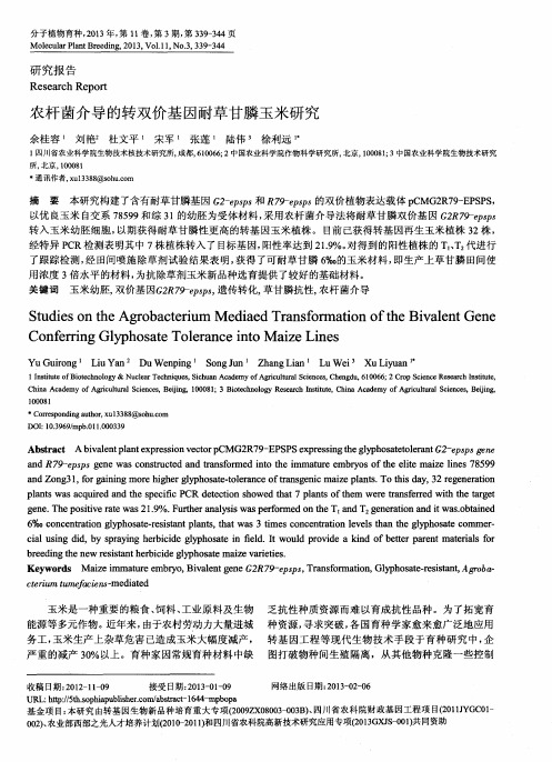农杆菌介导的转双价基因耐草甘膦玉米研究