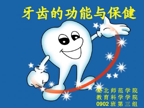 牙齿的功能与保健