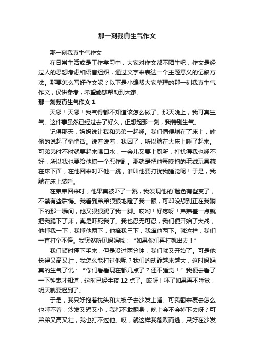 那一刻我真生气作文