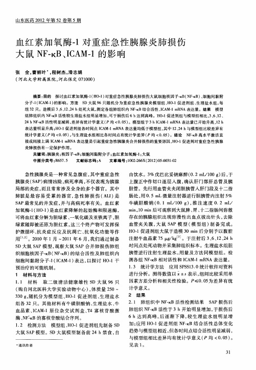 血红素加氧酶-1对重症急性胰腺炎肺损伤大鼠NF-κB、ICAM-1的影响