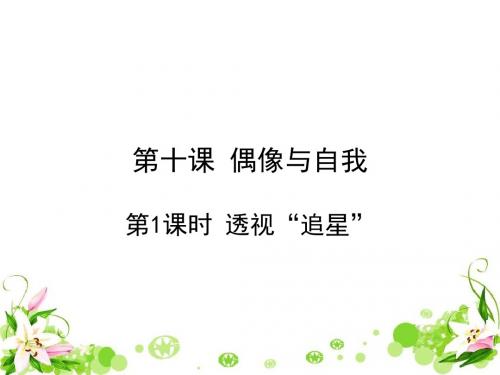 透视“追星” PPT优秀课件2 教科版