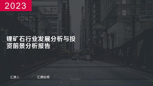 锂矿石行业发展分析与投资前景分析报告