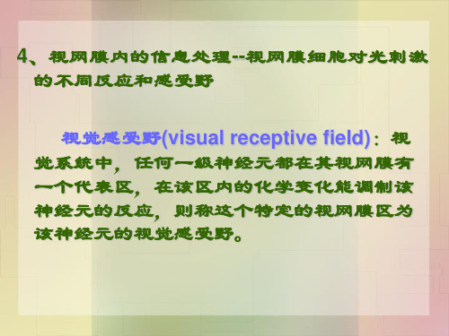 第五章、感觉系统-10-30