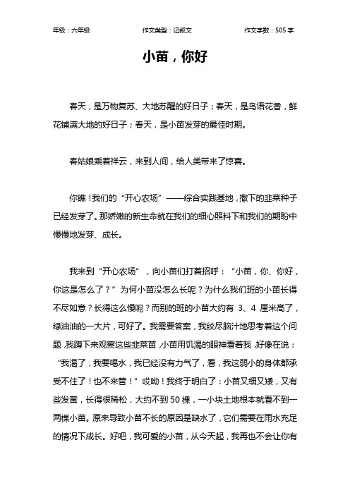 小苗,你好作文【小学六年级500字】