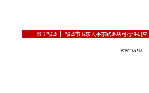项目可行性研究报告ppt课件