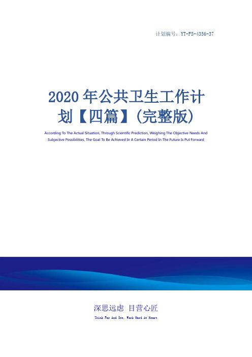 2020年公共卫生工作计划【四篇】(完整版)