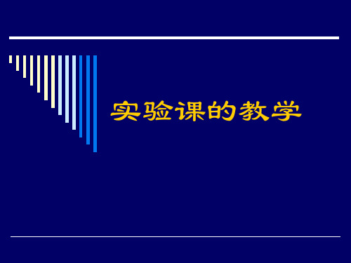 《信息技术》课程课件 3实验课