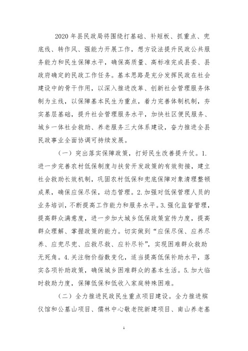 民政局2020年工作计划