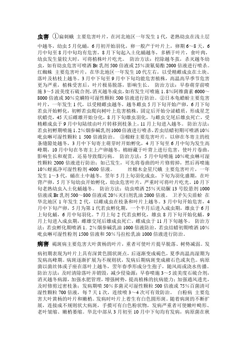 黄杨病虫害