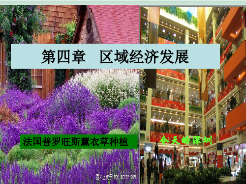 高中地理必修三第四章第二节 区域工业化与城市化