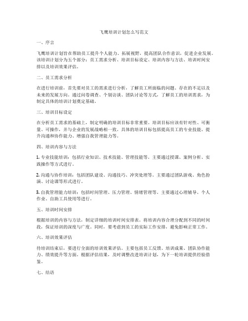 飞鹰培训计划怎么写范文