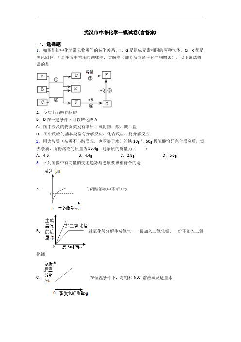 武汉市中考化学一模试卷(含答案)