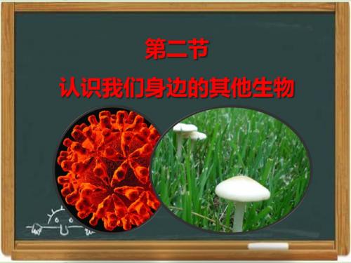 北京版七年级生物上册《认识我们身边的其他生物》教学课件2