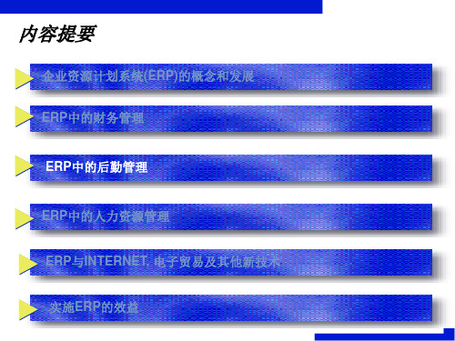 SAP ERP中的后勤管理