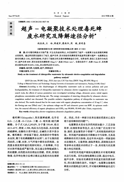 超声-电凝聚技术处理毒死蜱废水研究及降解途径分析