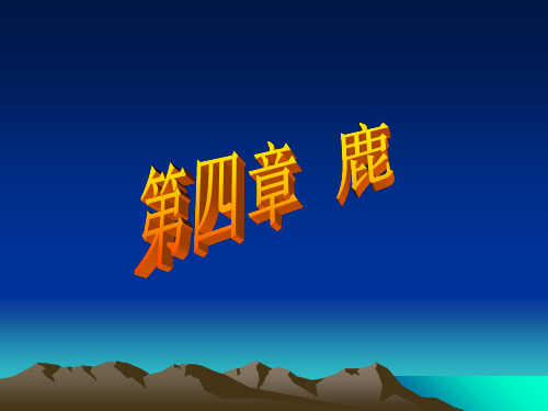 第四章 鹿ppt课件