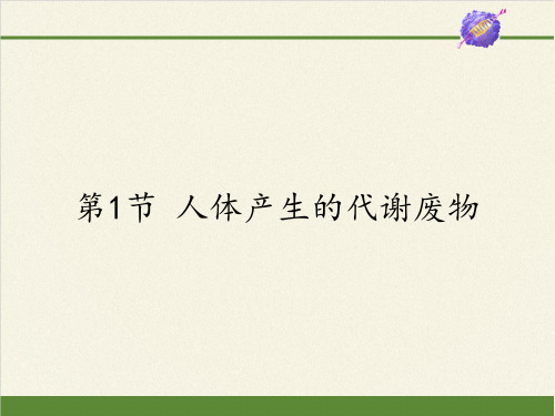 北师大版初中生物七年级下册课件-4.11.1 人体产生的代谢废物14