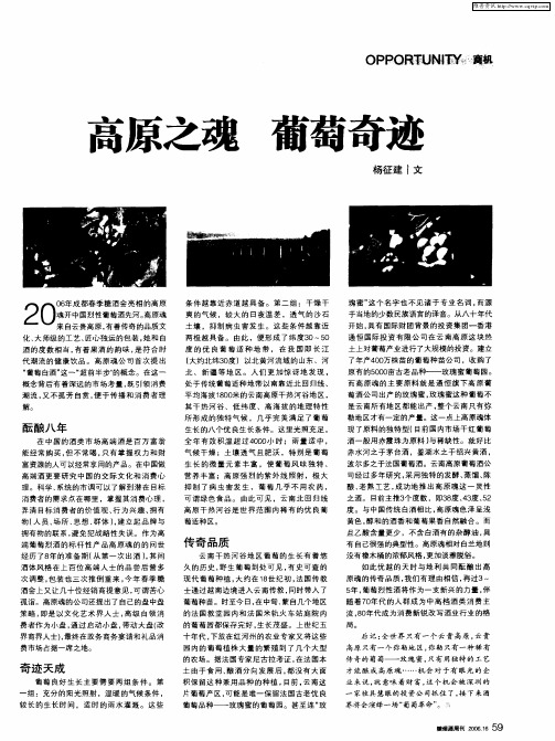 高原之魂 葡萄奇迹