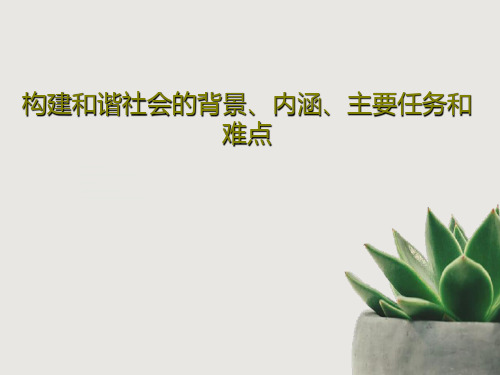构建和谐社会的背景、内涵、主要任务和难点21页PPT