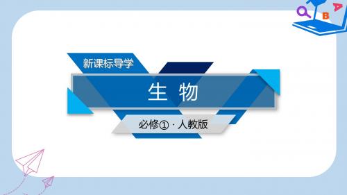 高中生物第四章细胞的物质输入和输出第1节物质跨膜运输的实例课件新人教版必修1