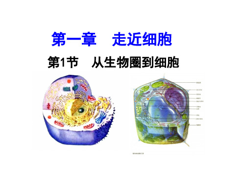 高中生物一轮复习----第一讲 走近细胞