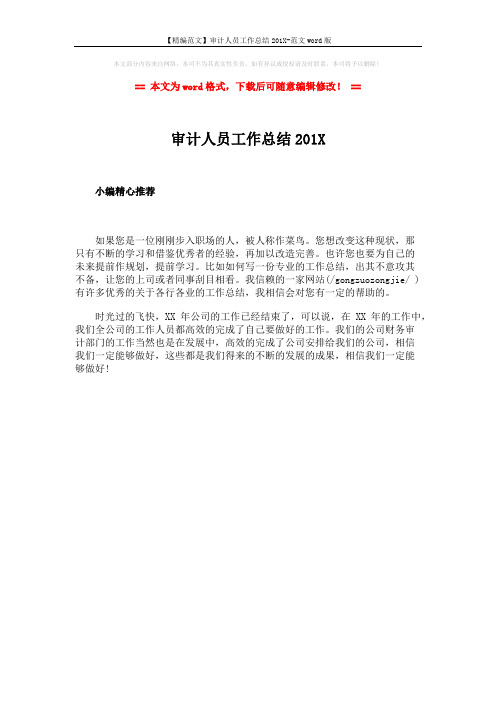 【精编范文】审计人员工作总结201X-范文word版 (1页)