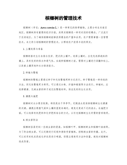 槟榔树的管理技术