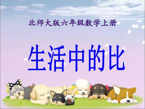 《生活中的比 》PPT课件