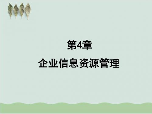 企业信息资源管理发展分析PPT课件( 58页)