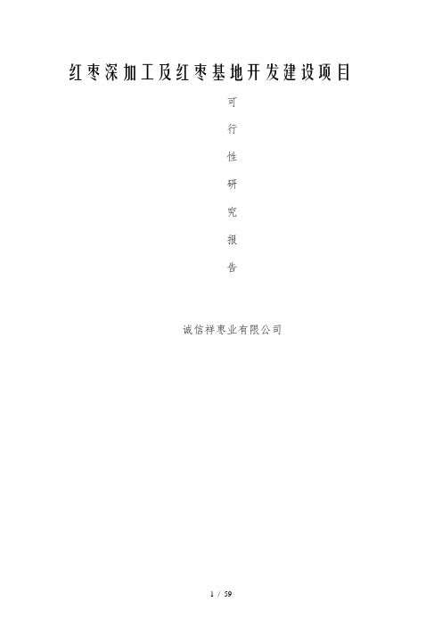 红枣深加工可行性研究报告