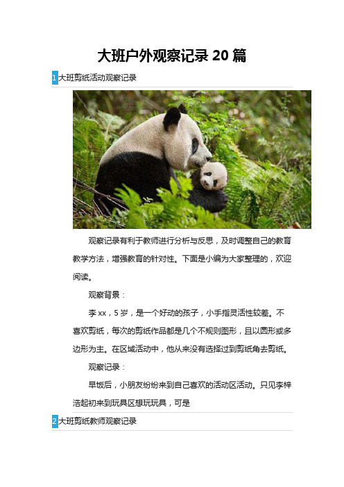 大班户外观察记录20篇
