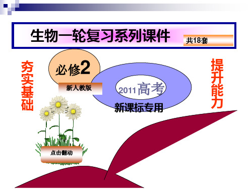 生物一轮复习：遗传的基本规律ppt