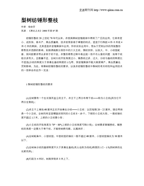 梨树纺锤形整枝