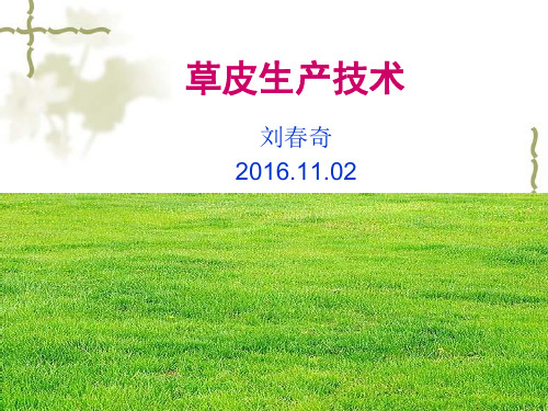 草皮生产技术
