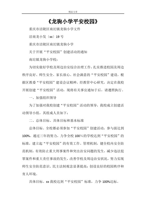 《龙驹小学平安校园》