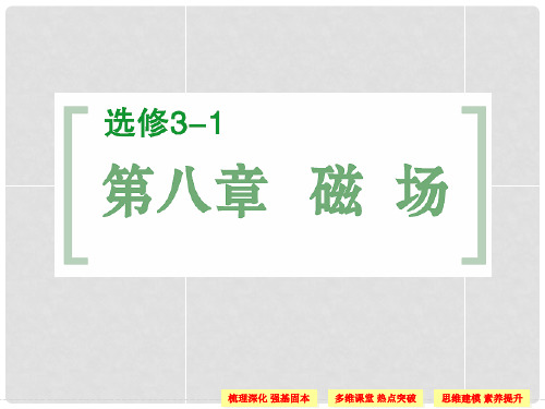 高考物理一轮复习 第8章 第1讲 磁场的描述及磁场对电流的作用课件