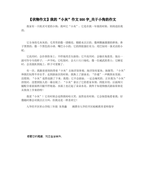 【状物作文】我的“小灰”作文500字_关于小狗的作文