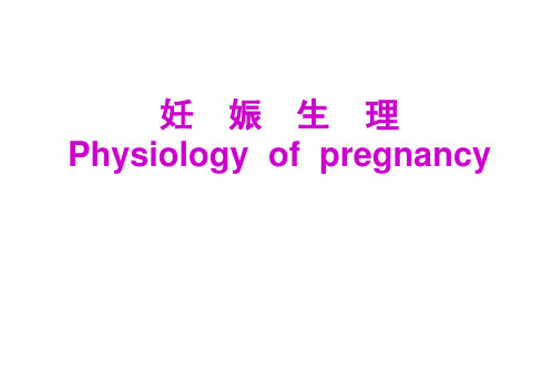 妊娠生理课件