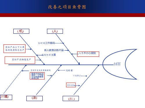 混料专案改善报告