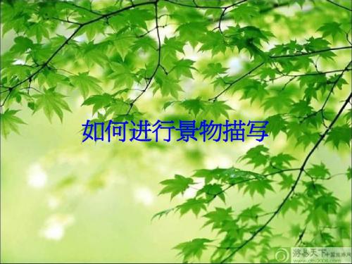 小学生作文_景物描写