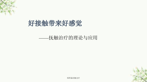 杨明磊抚触治疗课件