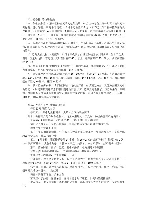茬口紧安排 效益随着来