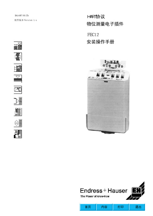 E+H FEC12电容式液位计