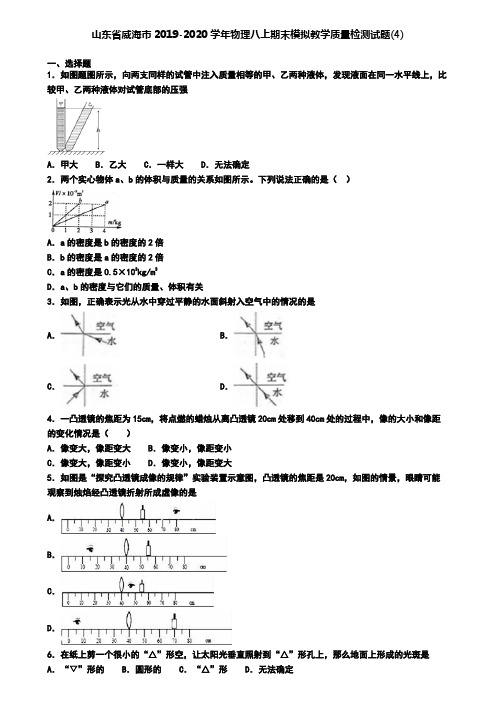 山东省威海市2019-2020学年物理八上期末模拟教学质量检测试题(4)