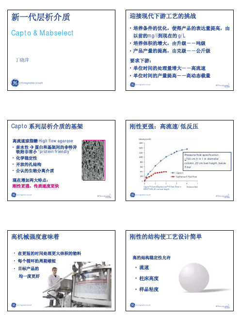 新一代层析介质Capto(丁晓萍)