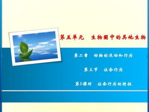 第5单元 第2章 第3节  第1课时 社会行为的特征