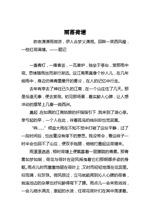 雨落荷塘