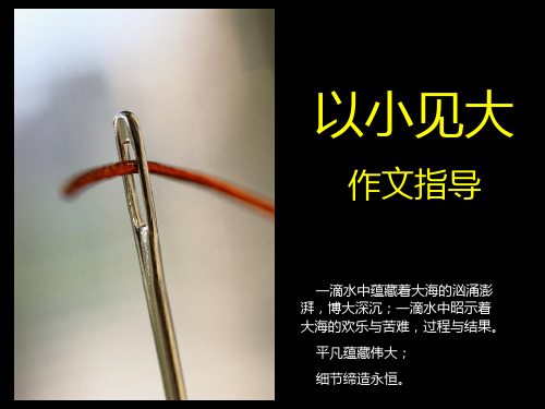 作文选材-以小见大PPT教学课件